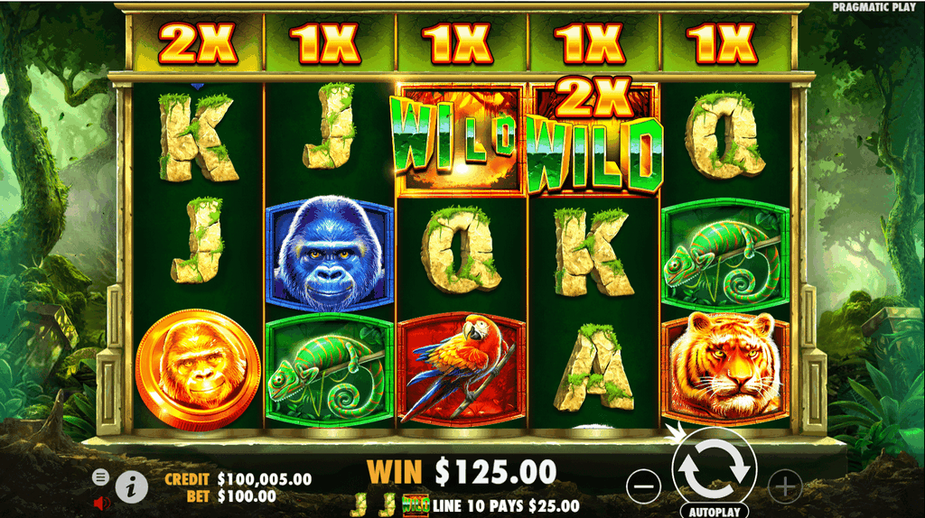 Slots Jungle - Verified Reviews & Real Online Casino Score 2025