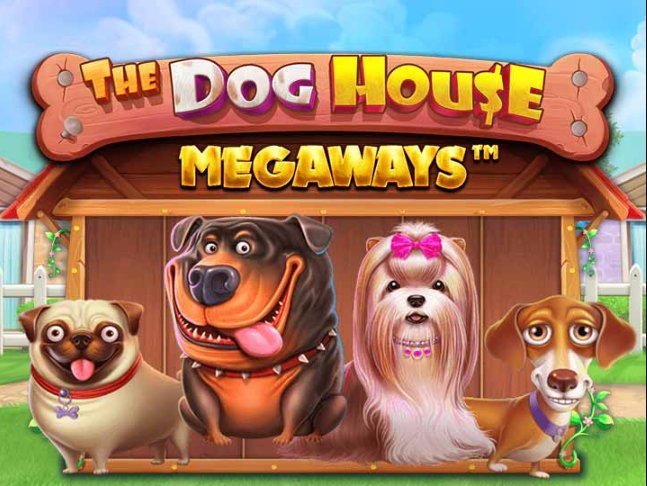 How to Play The Dog House Megaways Like a Pro