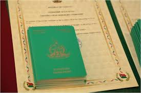 Understanding the Cost of Vanuatu Citizenship 896673190