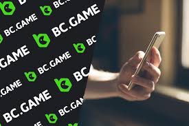 Dive into the World of BC.Game Platform An Innovative Gaming Experience