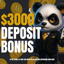 Bitfortune A Comprehensive Guide for Experienced Players and Beginners
