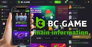 BC.Game PK Registration A Step-by-Step Guide BC.Game PK Registration A Step-by-Step Guide